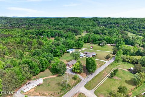 Tiny photo for 3065 Rocky Springs Rd, Spring City, TN 37381 (MLS # 1339219)