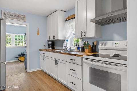 Tiny photo for 3065 Rocky Springs Rd, Spring City, TN 37381 (MLS # 1339219)