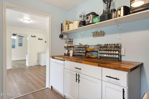Tiny photo for 3065 Rocky Springs Rd, Spring City, TN 37381 (MLS # 1339219)