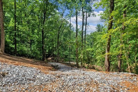 1998 Chestnut Ridge Rd Drive Lenoir City TN 37771
