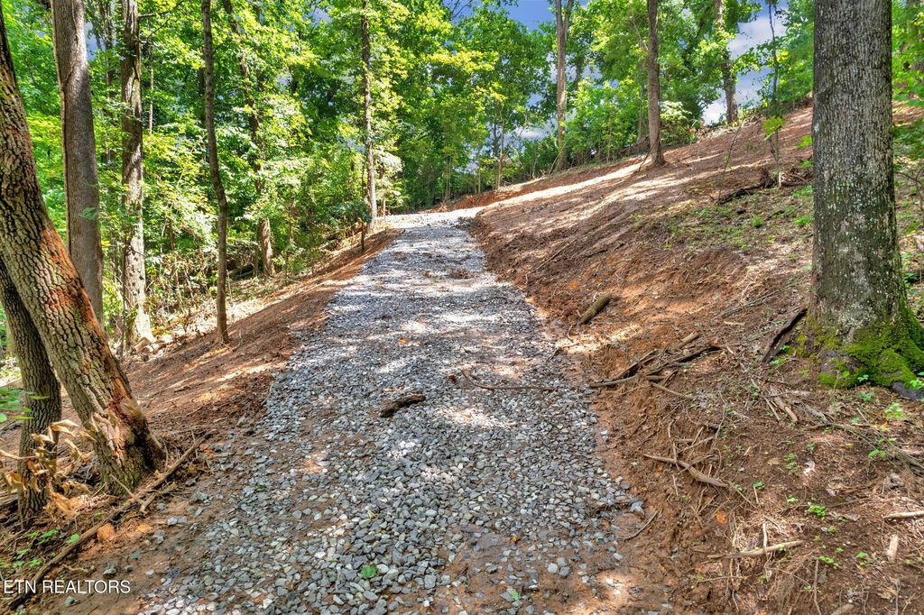 Photo of 1998 Chestnut Ridge Rd Drive, Lenoir City, TN 37771 (MLS # 1301883)