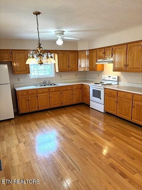 Tiny photo for 1347 Cawood Rd, Spring City, TN 37381 (MLS # 1320404)