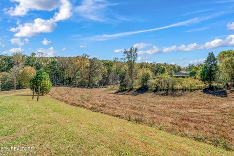 Tiny photo for 1347 Cawood Rd, Spring City, TN 37381 (MLS # 1320404)