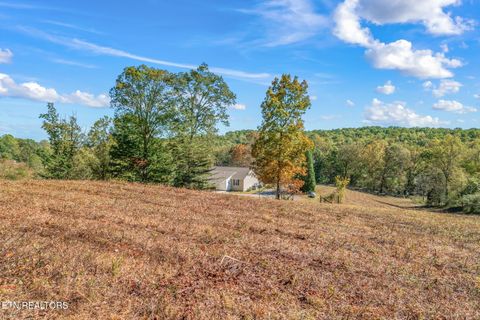 Tiny photo for 1347 Cawood Rd, Spring City, TN 37381 (MLS # 1320404)