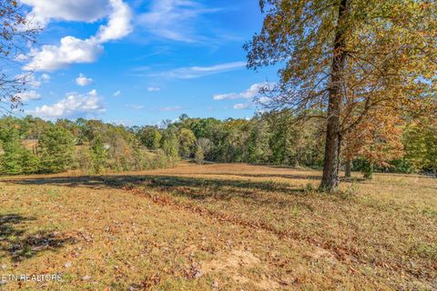 Tiny photo for 1347 Cawood Rd, Spring City, TN 37381 (MLS # 1320404)