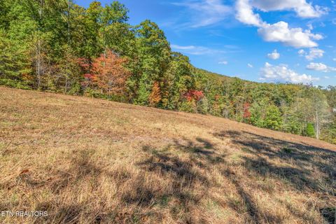 Tiny photo for 1347 Cawood Rd, Spring City, TN 37381 (MLS # 1320404)