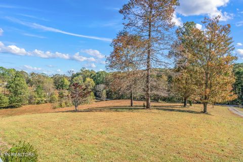 Tiny photo for 1347 Cawood Rd, Spring City, TN 37381 (MLS # 1320404)