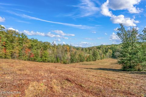 Tiny photo for 1347 Cawood Rd, Spring City, TN 37381 (MLS # 1320404)