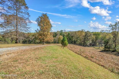 Tiny photo for 1347 Cawood Rd, Spring City, TN 37381 (MLS # 1320404)