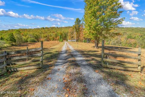 Tiny photo for 1347 Cawood Rd, Spring City, TN 37381 (MLS # 1320404)