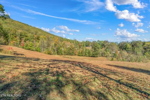 Tiny photo for 1347 Cawood Rd, Spring City, TN 37381 (MLS # 1320404)