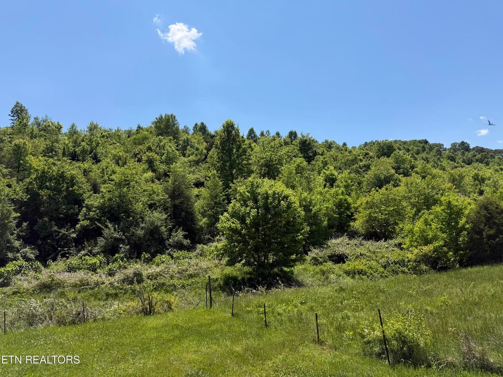 Photo of Leadmine Bend Rd, Sharps Chapel, TN 37866 (MLS # 1340614)