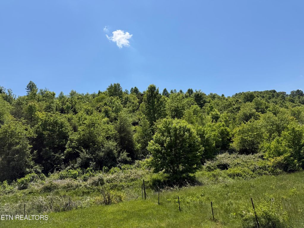 Photo of Leadmine Bend Rd, Sharps Chapel, TN 37866 (MLS # 1340614)