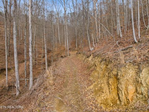 Tiny photo for 1473 State Highway 33, Tazewell, TN 37879 (MLS # 1328152)