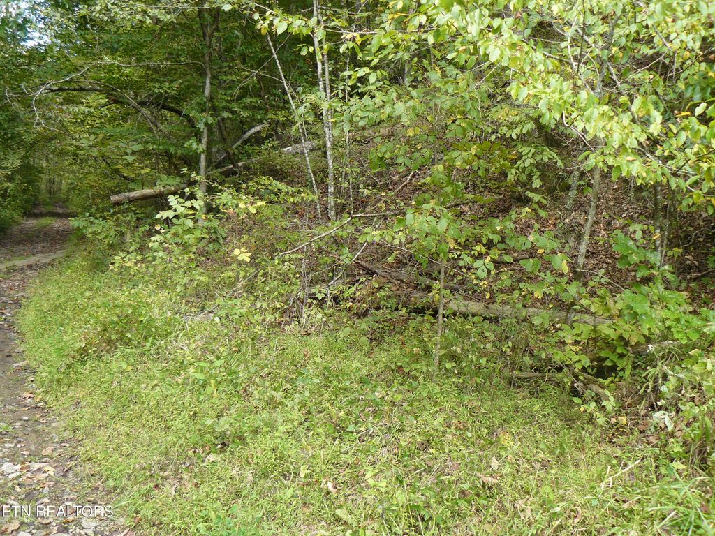 Photo of Lower Caney Valley Rd, Tazewell, TN 37879 (MLS # 1317882)