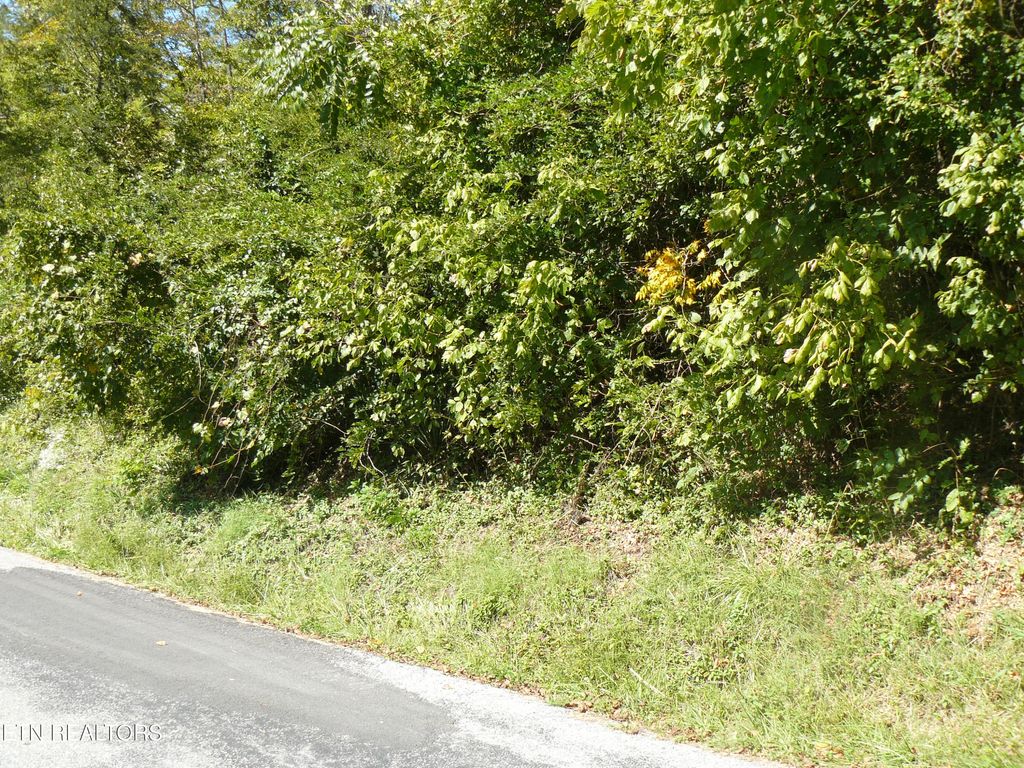 Photo of Lower Caney Valley Rd, Tazewell, TN 37879 (MLS # 1317882)