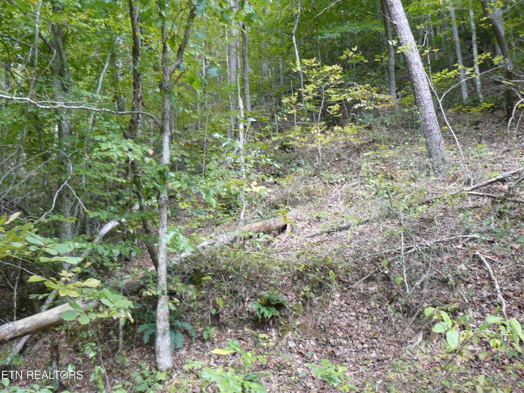 Photo of Lower Caney Valley Rd, Tazewell, TN 37879 (MLS # 1317882)