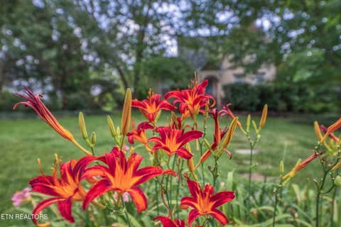 Tiny photo for 918 Windgate St, Knoxville, TN 37919 (MLS # 1347979)
