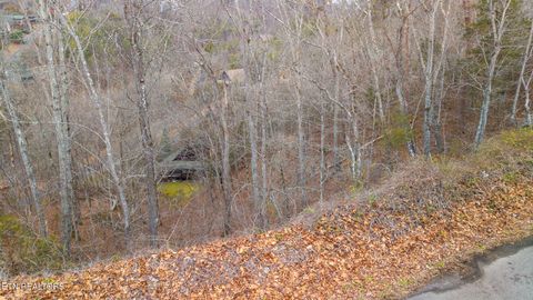 Tiny photo for Lot 65 Wingspan, Sevierville, TN 37862 (MLS # 1327545)