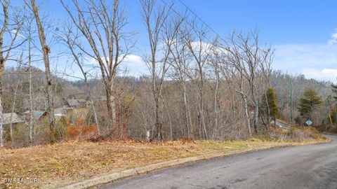 Tiny photo for Lot 65 Wingspan, Sevierville, TN 37862 (MLS # 1327545)