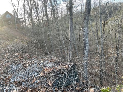 Tiny photo for Lot 65 Wingspan, Sevierville, TN 37862 (MLS # 1327545)