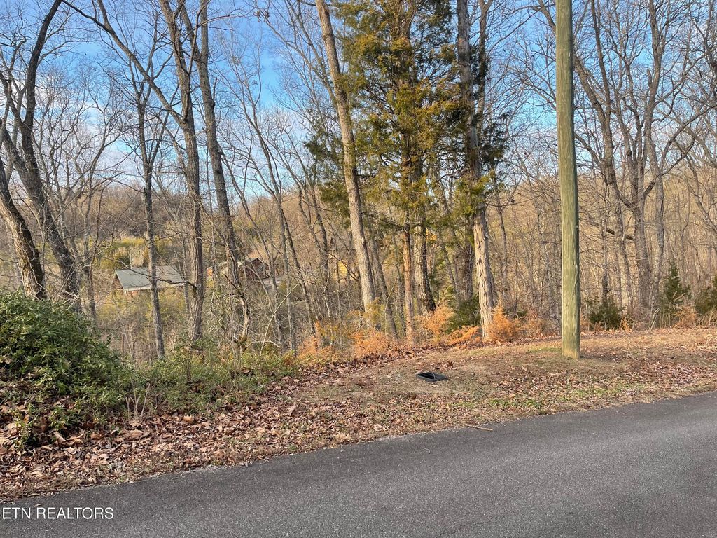 Photo of Lot 65 Wingspan, Sevierville, TN 37862 (MLS # 1327545)