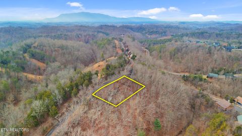 Tiny photo for Lot 65 Wingspan, Sevierville, TN 37862 (MLS # 1327545)