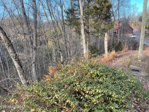 Tiny photo for Lot 65 Wingspan, Sevierville, TN 37862 (MLS # 1327545)