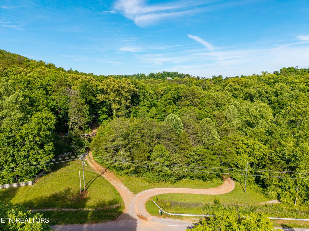 Photo of 13268 E Coast Tellico Pkwy, Greenback, TN 37742 (MLS # 1340774)