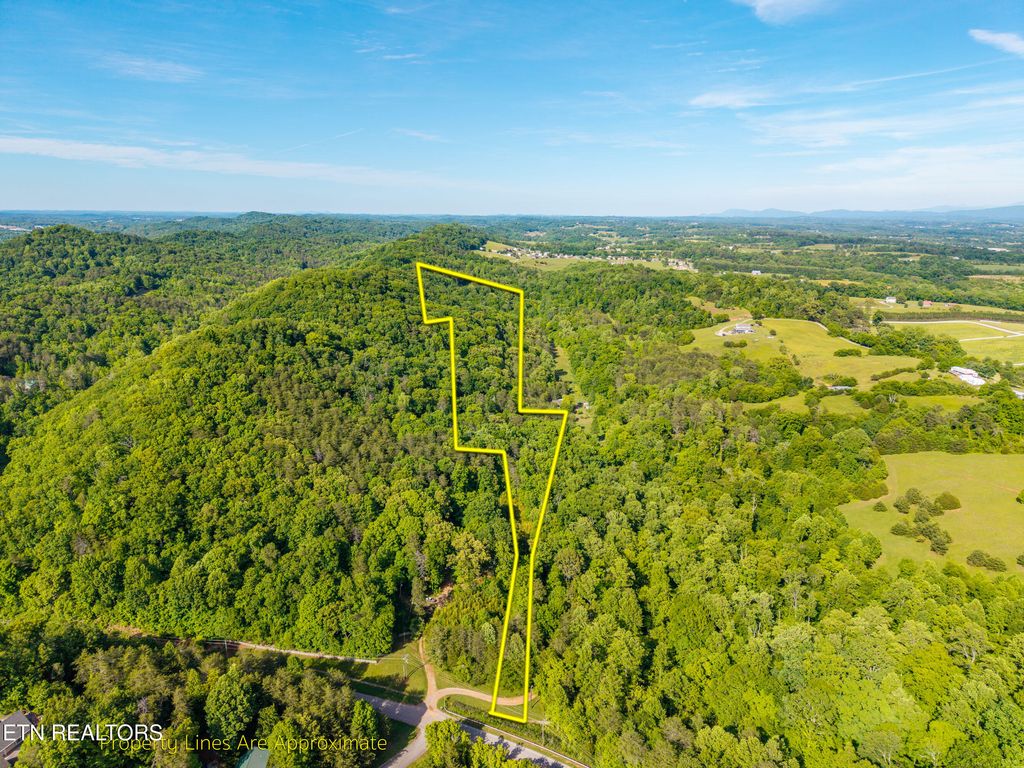 Photo of 13268 E Coast Tellico Pkwy, Greenback, TN 37742 (MLS # 1340774)
