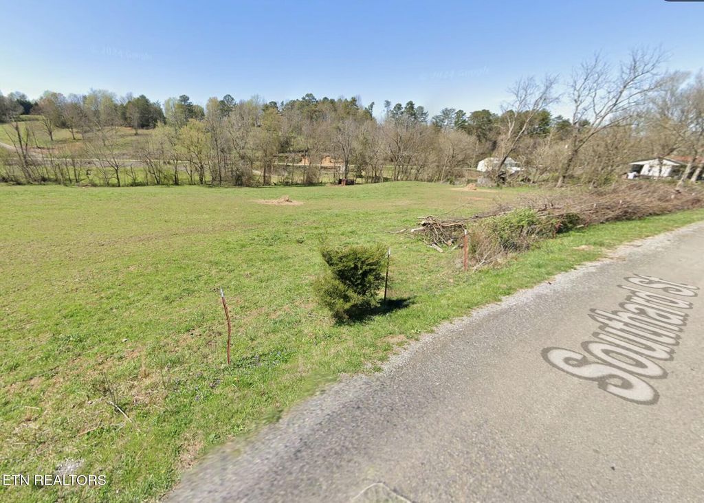 Photo of 644 Southard St, Tellico Plains, TN 37385 (MLS # 1338299)