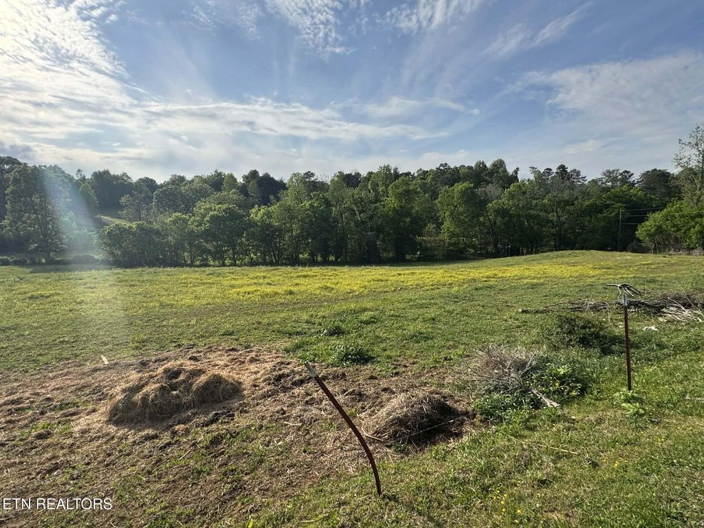 Photo of 644 Southard St, Tellico Plains, TN 37385 (MLS # 1338299)