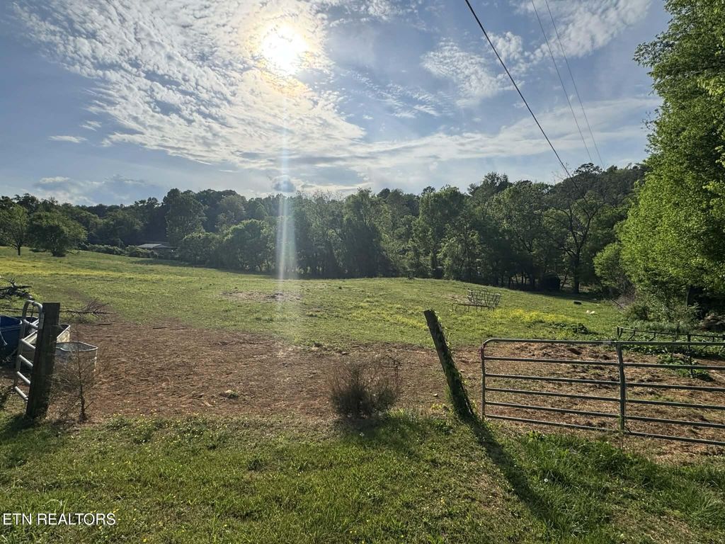Photo of 644 Southard St, Tellico Plains, TN 37385 (MLS # 1338299)