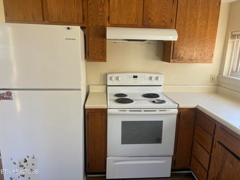Tiny photo for 113 S Walker Lane, Oak Ridge, TN 37830 (MLS # 1323096)