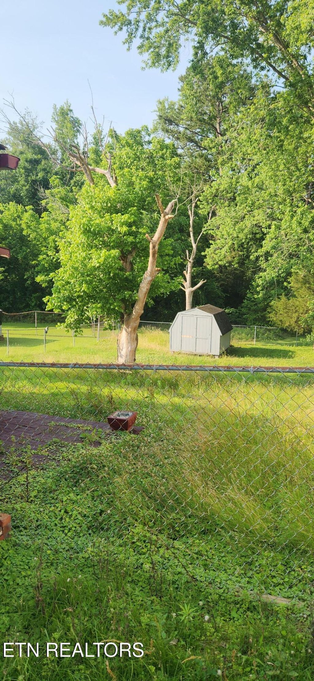 Photo of 428 Browder Circle, Oliver Springs, TN 37840 (MLS # 1311383)