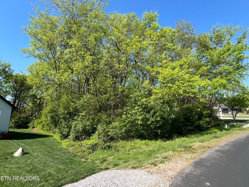 Photo of 170 Utsesti Way, Loudon, TN 37774 (MLS # 1336122)