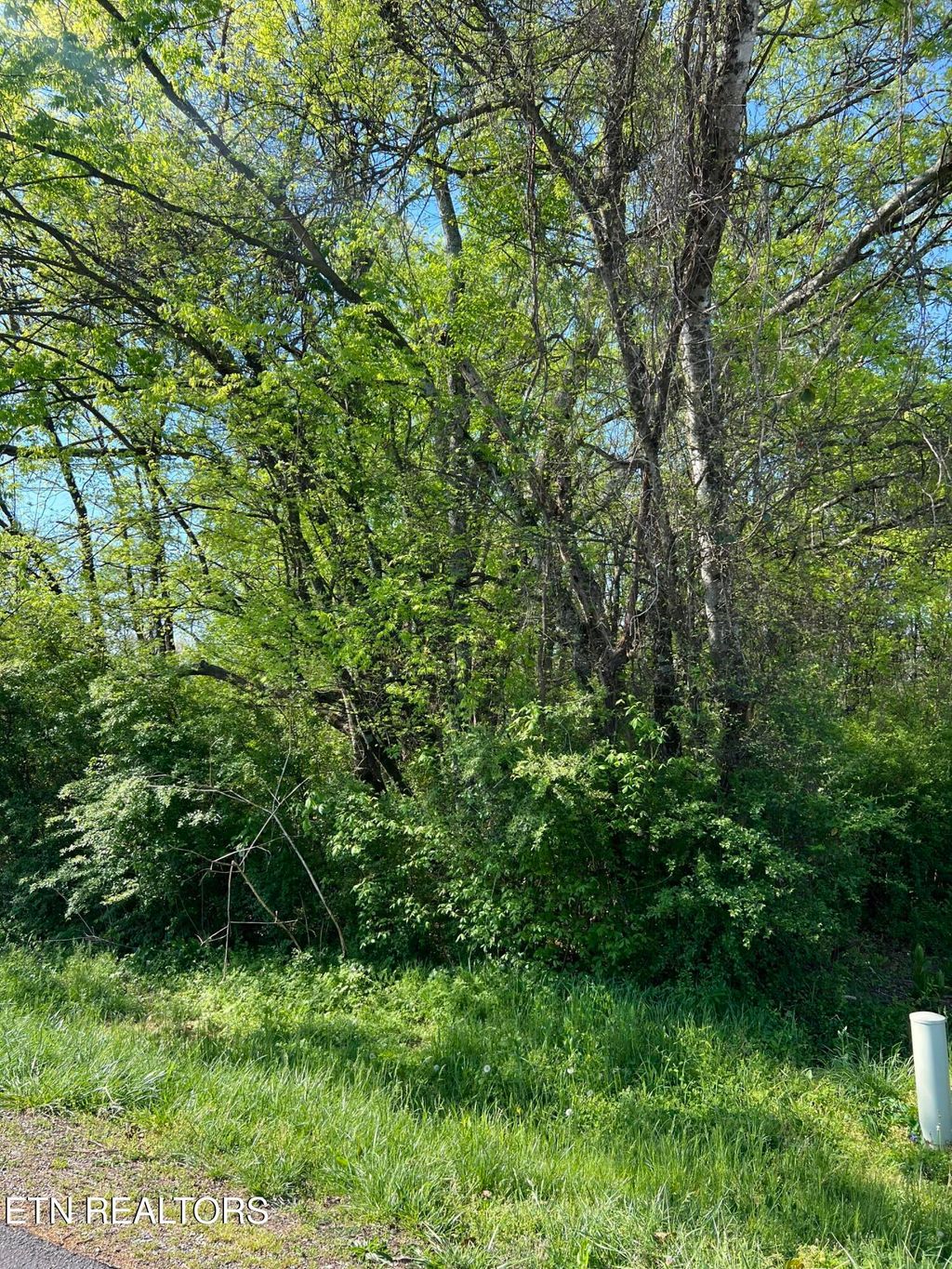 Photo of 170 Utsesti Way, Loudon, TN 37774 (MLS # 1336122)