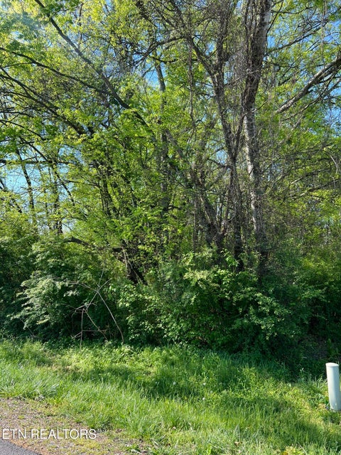 Tiny photo for 170 Utsesti Way, Loudon, TN 37774 (MLS # 1336122)