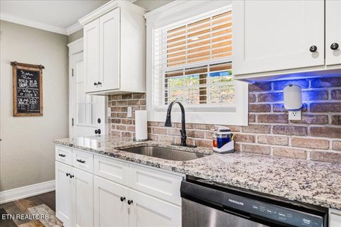 Tiny photo for 126 Zoe Circle, Jacksboro, TN 37757 (MLS # 1342810)