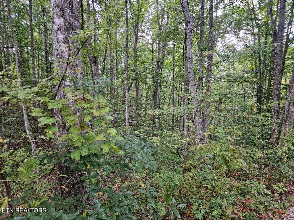 Photo of 00 Sells Cemetery Rd, Wilder, TN 38589 (MLS # 1327771)