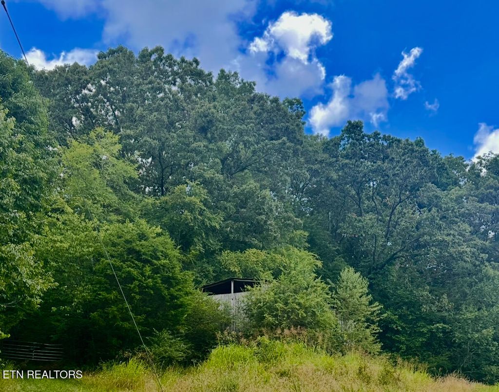 Photo of TBD Clinch River Rd, Tazewell, TN 37879 (MLS # 1307905)