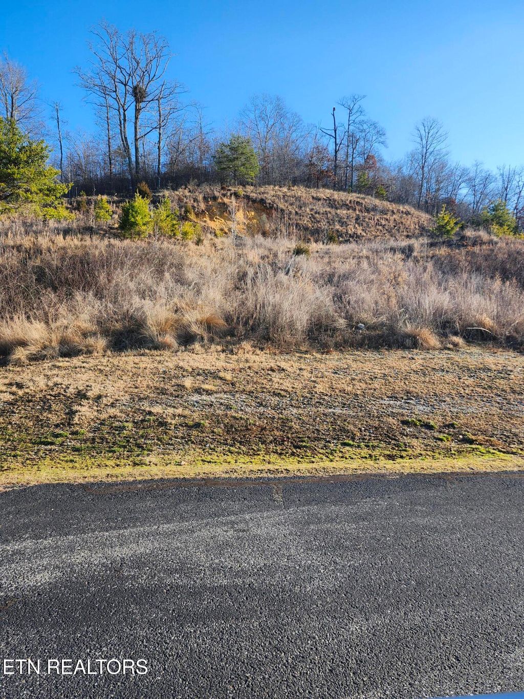 Photo of 396 W Mountain Drive, Rockwood, TN 37854 (MLS # 1291929)