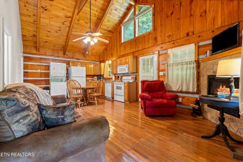 Tiny photo for 4424 Trail Hollow Rd, Cosby, TN 37722 (MLS # 1350106)