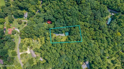 Tiny photo for 4424 Trail Hollow Rd, Cosby, TN 37722 (MLS # 1350106)