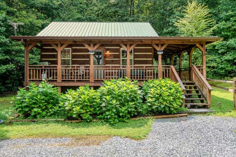 Photo of 4424 Trail Hollow Rd, Cosby, TN 37722 (MLS # 1350106)