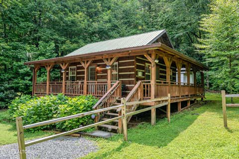 Tiny photo for 4424 Trail Hollow Rd, Cosby, TN 37722 (MLS # 1350106)