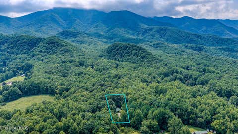 Tiny photo for 4424 Trail Hollow Rd, Cosby, TN 37722 (MLS # 1350106)
