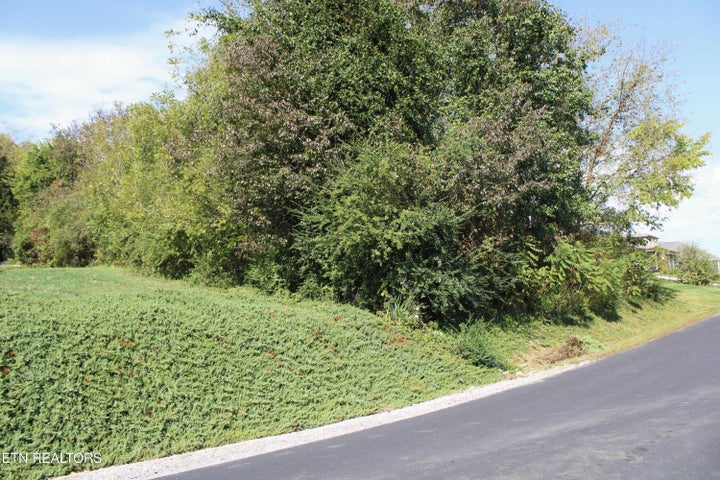 Photo 1 of 3 — 151 Oonoga Way, Loudon, TN 37774