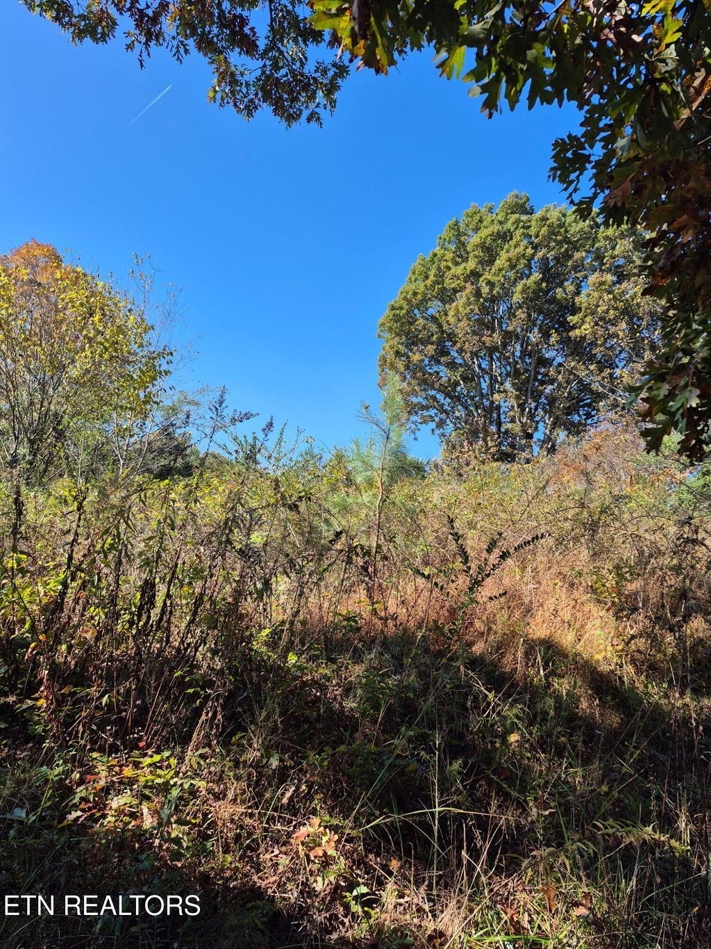 Photo of 129 County Road 299, Sweetwater, TN 37874 (MLS # 1321487)