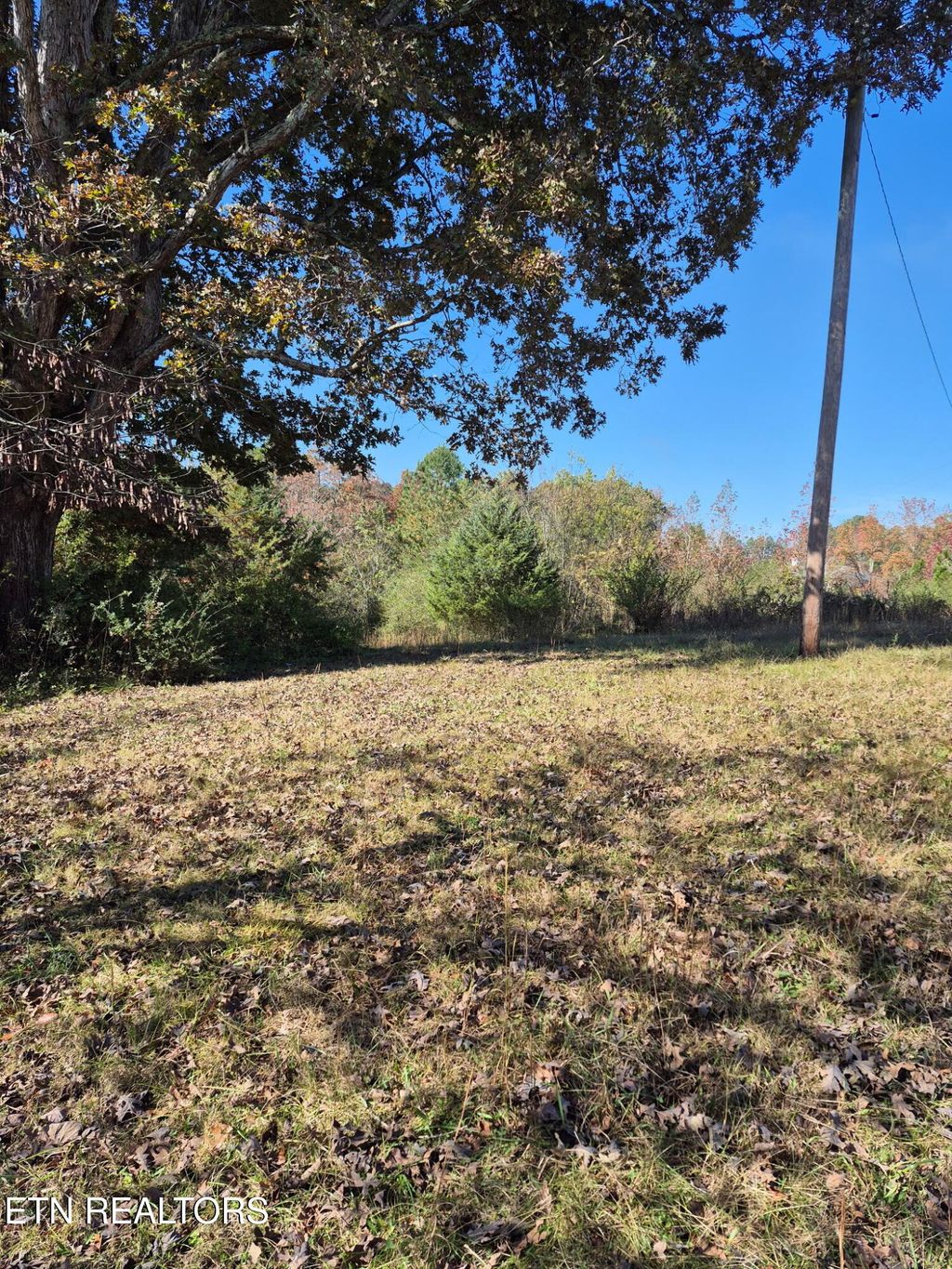 Photo of 129 County Road 299, Sweetwater, TN 37874 (MLS # 1321487)